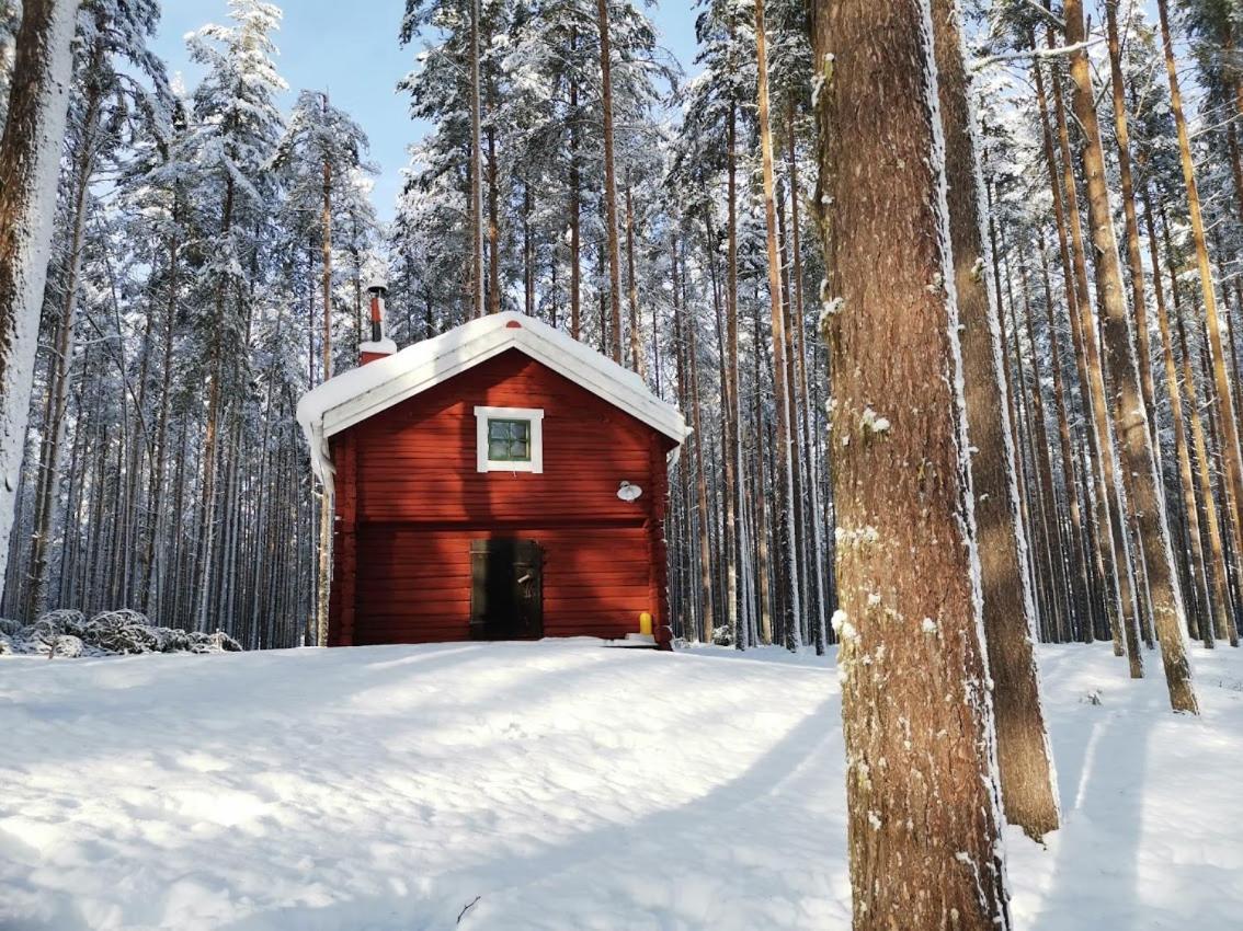 Zorbcenter Holiday Homes Hammarstrand Ngoại thất bức ảnh
